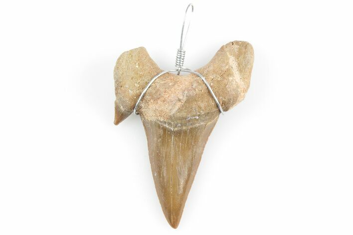 1.25" to 2" Wire Wrapped Shark Tooth Pendant - Morocco - Photo 1